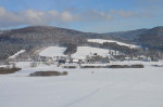 Zima - 1 luty 2015 r.